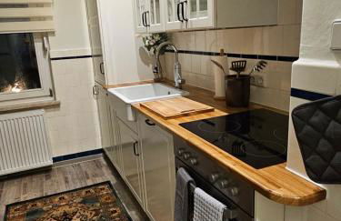 Workout Appartement bei Magdeburg - Foto 3