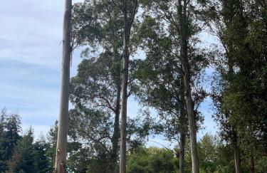 Your Most Romantic and Peaceful Getaway - Foto 35