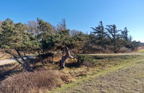 Haus-Fehmarn-am-Dorfteich-|-Wohnung-2-West - Foto 46