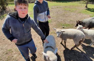 Gnaden- und Ferienhof Saale Wittgenstein in the middle of gar nix - Foto 45