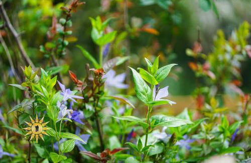 Soul River - Rifugio Zen sul Ruscello - Foto 10
