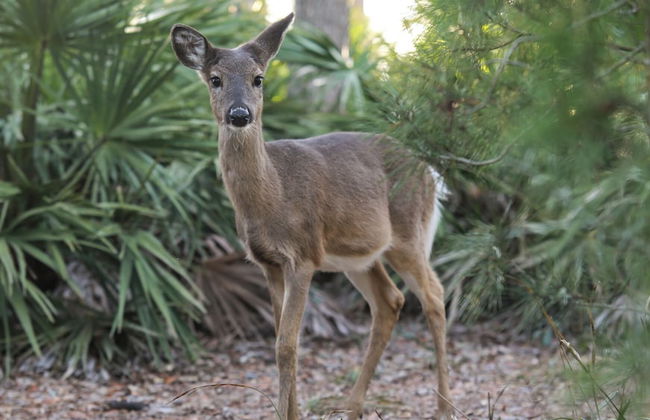 Modern + New Construction & Gulf Views; 3 Pools & Steps to Beach - Foto 31
