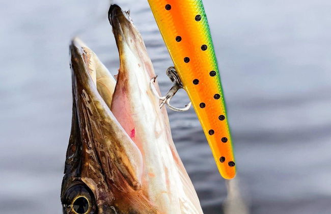 4 Star Holiday Home in Hjortkvarn-by Traum - Foto 27