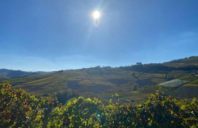 Holiday Home in Langhe With Pool and Terrace - Foto 42