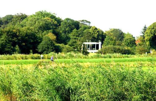 Ferienhaus Lüttje Swaan - Foto 2