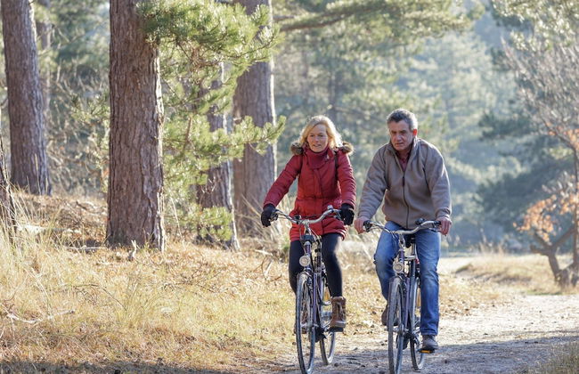 Single Storey Bungalow near Water Reservoir in Nordeifel - Foto 12