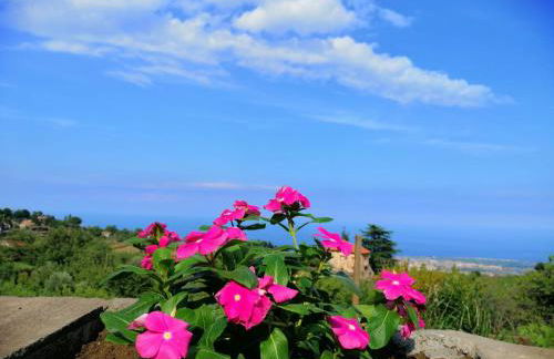 Villa Etna Masi' - Foto 40