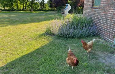 Ferienwohnung in saniertem Bauernhaus - Foto 8