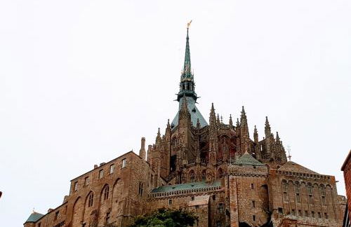 Les Clématites - Foto 22