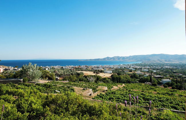 Montofoli Wine Estate - Foto 62