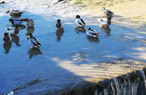 Appartamento con vista sul Cimone - Foto 68