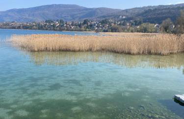 Appartement d'exception au bord du lac - Foto 36