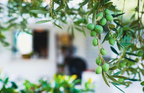 Residence Nonna Mariuccia - Foto 13