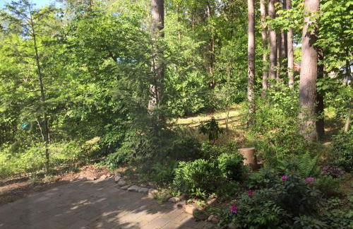 Wald und Wohlsein - Foto 5