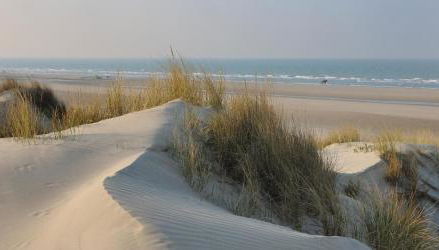 La maison du Pêcheur - Foto 3