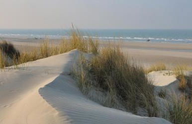 La maison du Pêcheur - Foto 3