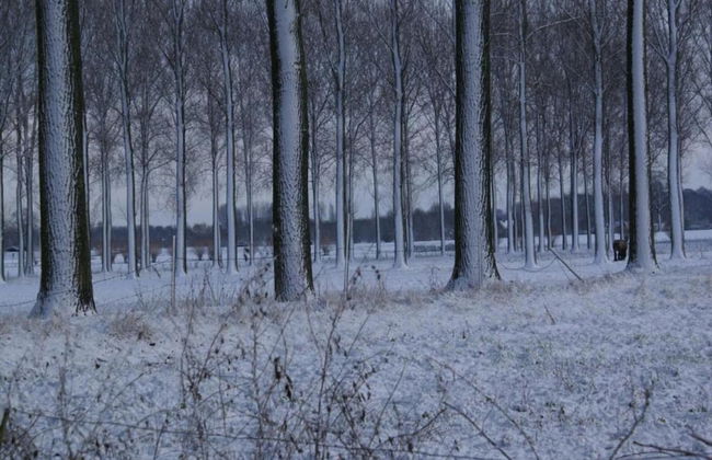 Zoutleeuw Home With Pool - Foto 37