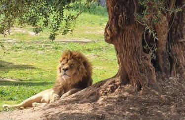 Appartamento con balcone panoramico "Suite Belvedere" - Foto 23