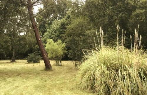 Gîte du Médoc Calme Piscine privée Surf Médoc Montalivet - Foto 12
