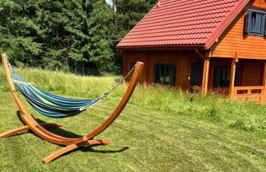 Okno na las - Foto 12