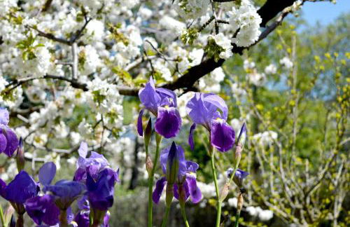Casa Valeriana - Foto 4