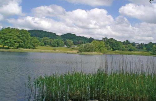 Lakefield Cottage - Foto 10