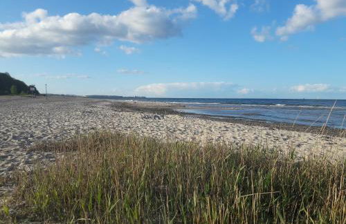 Öko Fewo Lachmöwe - Foto 27