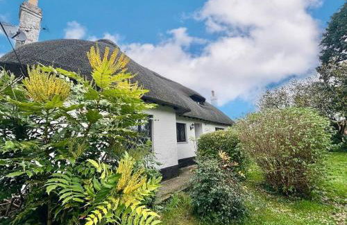 Rinsey Cottage - Foto 2