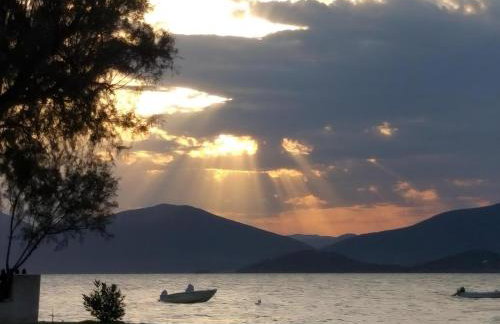 Seafront Villa Christina - Photo 11