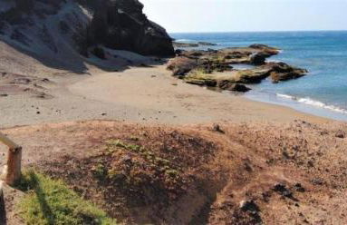 Refreshing Oasis - Foto 63