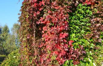 Dom na Warmii -Siedlisko Jabłonka - Foto 79