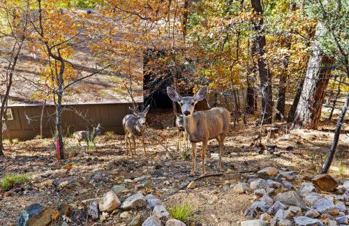 Ponderosa HideAway 4-BR CabinMtn ViewTrailsBrbq - Foto 4