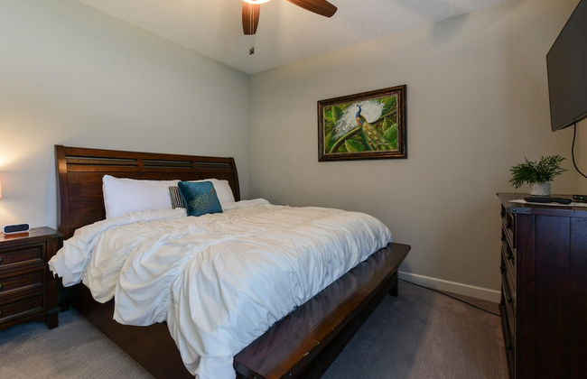 The Splendor - Foto 14