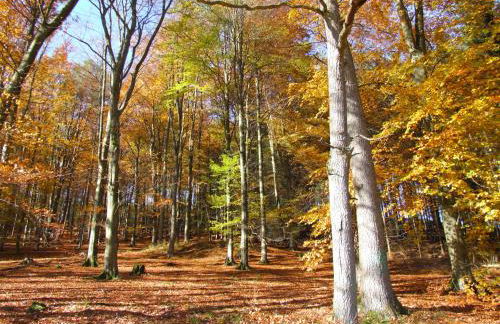 Fachwerkliebe Ornes 1 - Foto 33