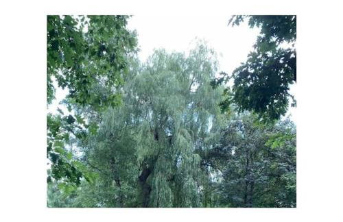 Amazing Holiday Home Near the Lake - Foto 54