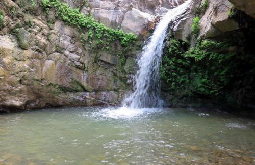 Exclusive Apartments in center - Foto 14