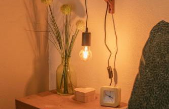 L'orée du Mézenc et son bain nordique privatif - Foto 24