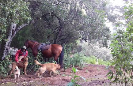 Finca rural House Tenerife Relax And Enjoy - Foto 55