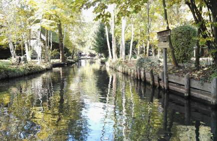 Spreewaldhäuser Wiesner - Foto 24