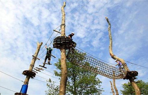 Holiday Home Barban 53 - Foto 35