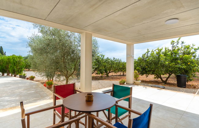 Son Vivot - Photo 45