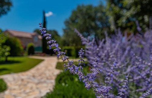 Villa Romansa Miljevci near Krka National Park - Photo 31