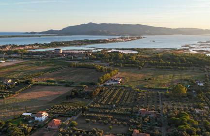 Casale Gli Ulivi - Foto 11