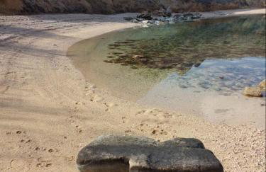 Apartmani Vesna - Photo 21