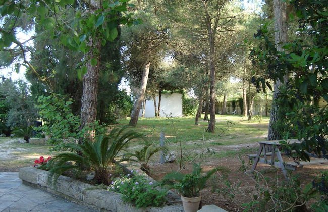 Agriturismo Vignavecchia - Photo 60