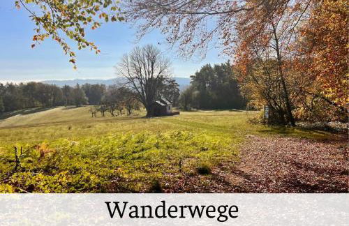 Ferienhaus Waldblick Heimbuchenthal - mit Kamin, Wintergarten und Terrasse - Foto 29