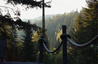 Piwniczna 187 - Vintage House - Foto 29