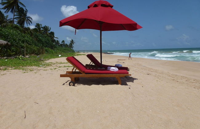 Tranquility - Foto 22