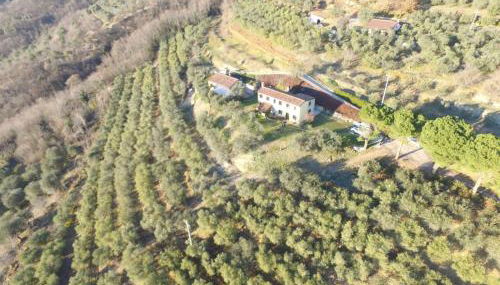 Holiday House Petrarca - Foto 2