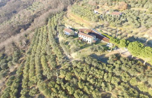 Holiday House Petrarca - Photo 2